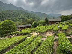 -姑婆山旅游区