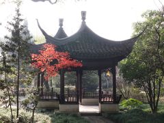 -上海醉白池公园