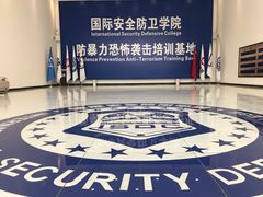 -国际安全防卫学院