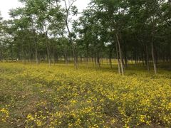 -东郊湿地公园