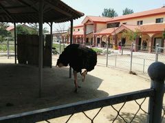 -意大利农场度假村