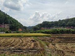 -红山村
