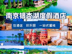 -南京银杏湖乐园