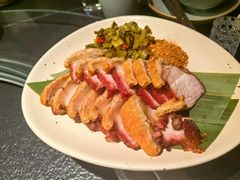 -菌自由丨野生菌火锅特色庭院餐厅(丽江古城店)