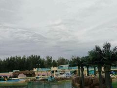 -秦皇岛乐岛海洋王国