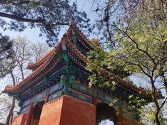 -国子监街18