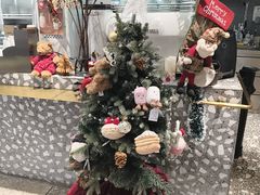 -夏佐CHASEL(横店康庄路店)