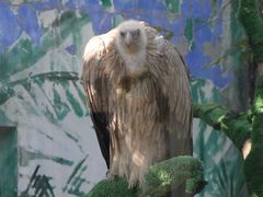 -杭州野生动物世界