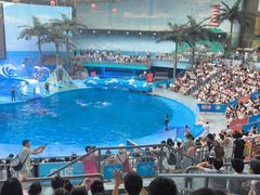 -海合安成都极地海洋公园