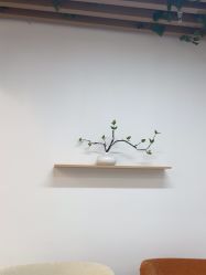 -杭州整形医院·国际部