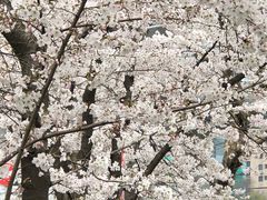 -上海南浦大桥长途旅游客运站