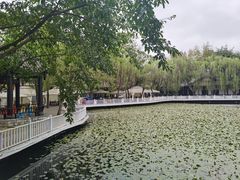 -巴山一绝烤全羊(三圣乡刘家花园店)