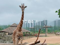 -杭州野生动物世界