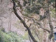 -杭州张苍水先生祠