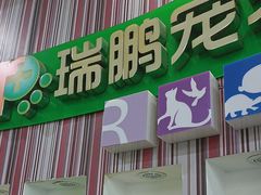 -瑞鹏·疫苗·绝育·宠物医院(金沙洲店)