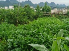 -逢缘柴火农家乐(连南店)