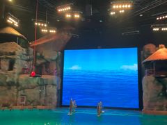 -芜湖新华联大白鲸海洋公园