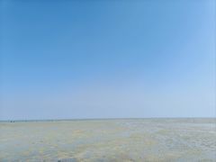 -北海金海湾红树林生态旅游区