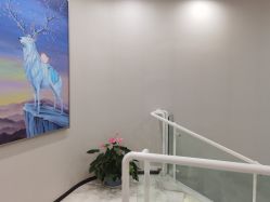 -上海漾颜医疗美容