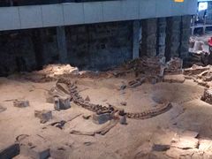 -自贡恐龙博物馆