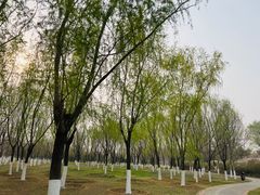 -永定河休闲森林公园