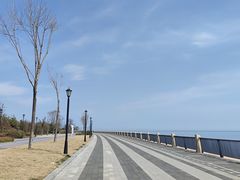 -星光岛