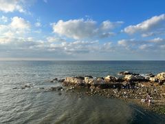 -养马岛旅游度假区
