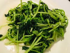 清炒鸡毛菜-苏浙汇(朝外店)
