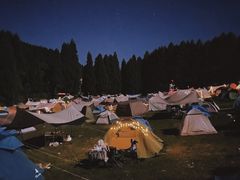 -武陵山森林公园