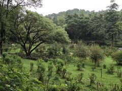-云溪植物园