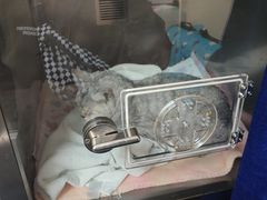 -泰洋动物医院·神经专科·磁共振·CT(天河公园总院)
