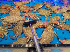 -川骄海鲜自助(河东店)