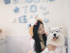 -汪说·狗咖·拼豆·宠物周边DIY(旺城大厦店)