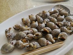 花螺-鹏城人家海鲜酒家·23年老字号(较场尾店)