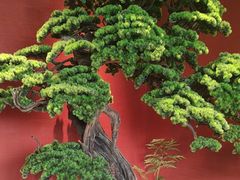 -阿伟海鲜楼·福建菜(延寿店)