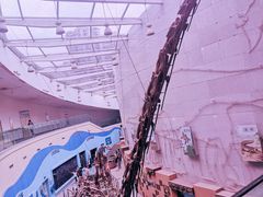 -陕西自然博物馆