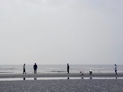 -江山半岛白浪滩景区