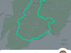 -铁山坪森林公园