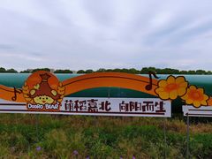 -嘉北郊野公园