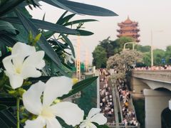 -黄鹤楼公园(黄鹤楼)