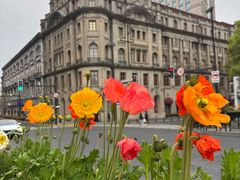 -潮一不贰·法式甜品·生日蛋糕·西式简餐(外滩店)