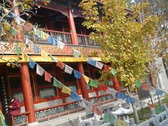 -紫竹院公园冰场