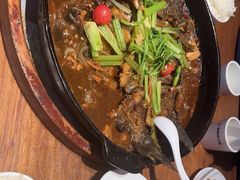 -老板恋上鱼(恒隆广场店)