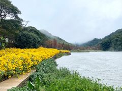 -广州市石门国家森林公园