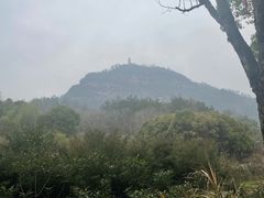 -天台山赤城山景区