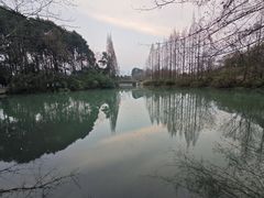 -桤木河湿地公园