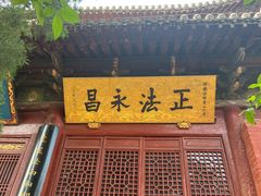 -洛阳白马寺