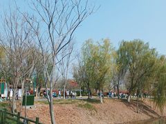 -泗洪洪泽湖湿地景区