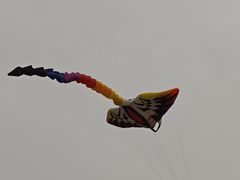 -汉长安城未央宫国家考古遗址公园