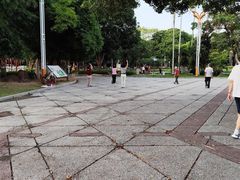 -金砂公园